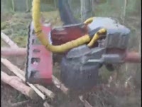 Валочная головка Log Max 7000 на Volvo Forestry Excavator
