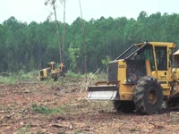 Комбайны Tigercat трек - совершенные лесного хозяйства.