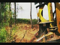Феллер Tigercat машины - совершенные лесного хозяйства