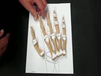 Halloween Wood Skeleton Hand - Scare Removed