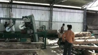 Wood-Mizer Small Log Processing Production in Dehradun, India