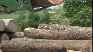 Wood-Mizer Sawmill Business - McInturf Sawmill & Kiln