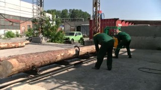 Переворот бревна при помощи дедА - багор