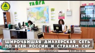 Тайга - презентация