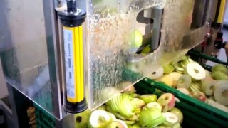 Машина для очистки и нарезки яблок на дольки или кольца 60 шт мин