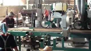 Wood-Mizer Small Log Processing Production in Sahakij Klaeng
