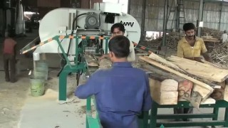 Wood-Mizer Small Log Processing Production in Gujarat, India