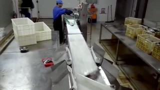 Оборудование для сортировки рыбы