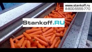 Машина бережной мойки-полировки моркови МЩМП 1800