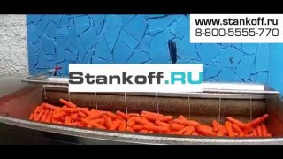 Машина бережной мойки-полировки моркови МЩМП-1800