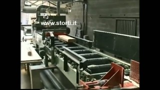 Лесопильная линия от итальянского производителя STORTI SPA / Оборудование Деревообработка