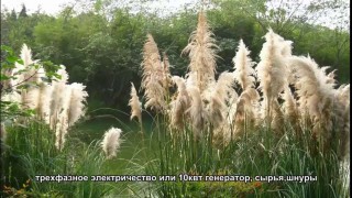 камышовые плиты маты машина-Камышовые маты строительное видео