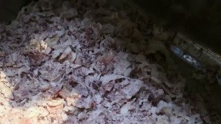 Блокорезка замороженного мяса