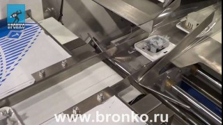 Сервоприводная Горизонтально-упаковочная машина Bronkomatic-400xse94