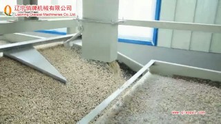 оборудование для очистки,шелушения и сепарации семян подсолнечника TFKH 1200