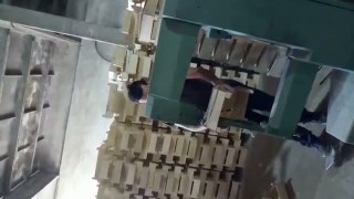 Corali M65 производство шпонового деревянного евро ящика